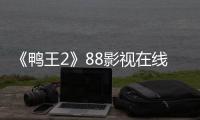 《鸭王2》88影视在线观看